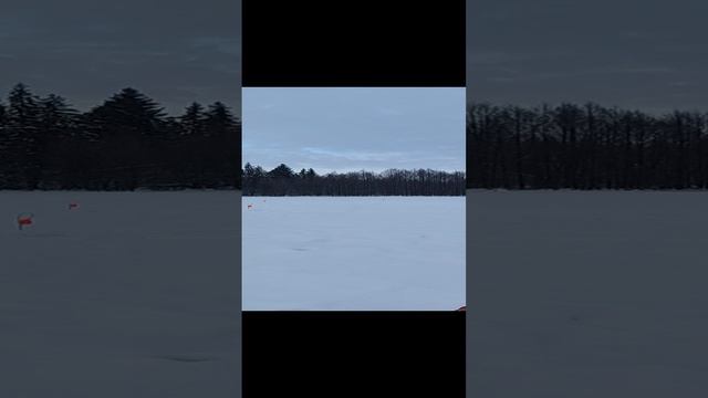 25-12-2024Прудик Прёт ловля живца ,Плотва или Сорога  ну и окуня как без них
