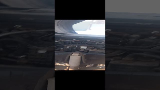 1000017331.mp4