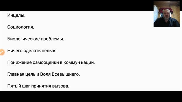 Декомпозиция инцелов воином-магом.