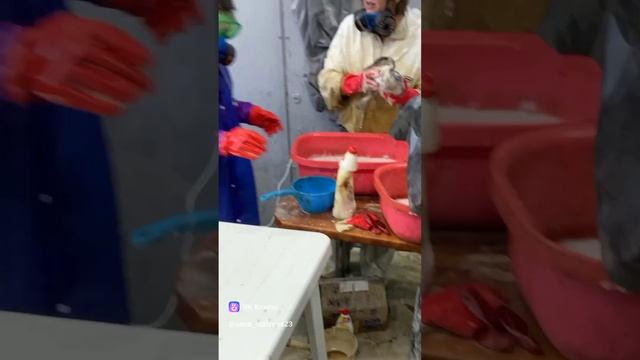 О трагедии в Чёрном море...