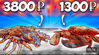 лобстер vs лангуст что вкуснее