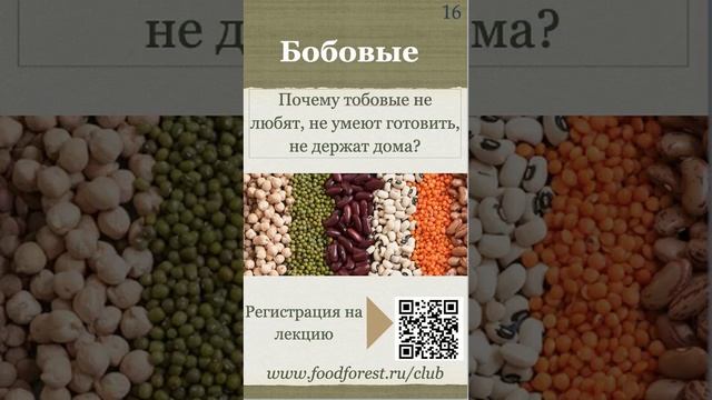 Афанасьев_Биоценоз богатый белком_Белковое питание_14