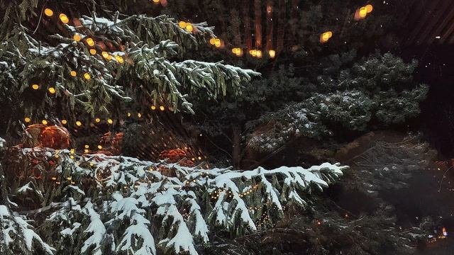 🎄✨ Лучшее Рождество песни видео фильм смотреть фоновое видео .🔔 Christmas. 🎇 Weihnachten
