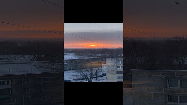 IMG_3978