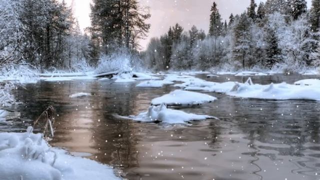 Зима. Лесная речка. Зимний футаж. Красивый футаж для видео. Фоновый футаж. Видеофон.