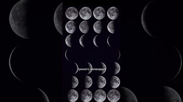 А вы знали что Новый год в разных странах отмечают в разное время?