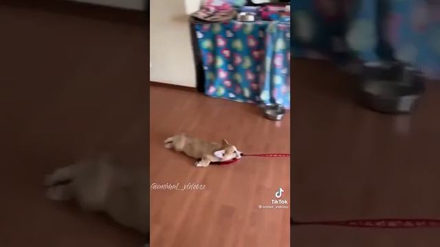 включи когда будет тебе грустно смешно:)