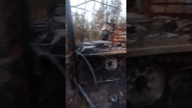Недоброе утро у боевиков киевского режима в лесах под Кременной.