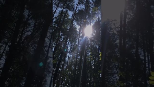 НАЧАЛО | МЕДИТАЦИИ ДЛЯ ДУШИ #небо #проявленность #бог