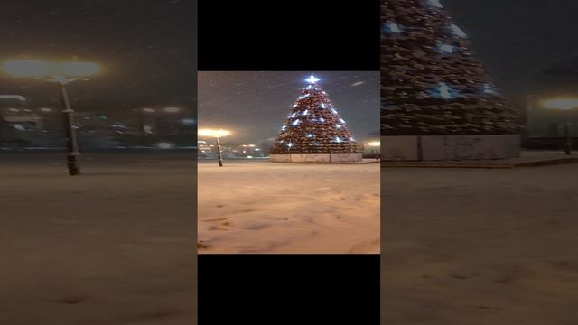 1000142309.mp4 Дорога к храму.25.12.24.г
