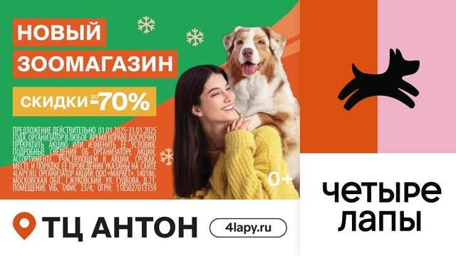 ТРАНСМЕДИА - Четыре Лапы