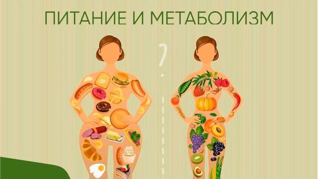 Метаболизм + Метадель = ?