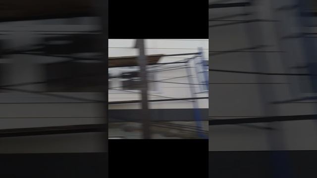 20241223_081924.mp4