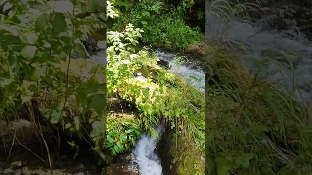 Горный Алтай. Озеро Телецкое. Водопад Аюуичпец.