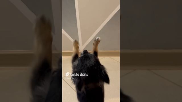 А у Вы любите наряжаться?