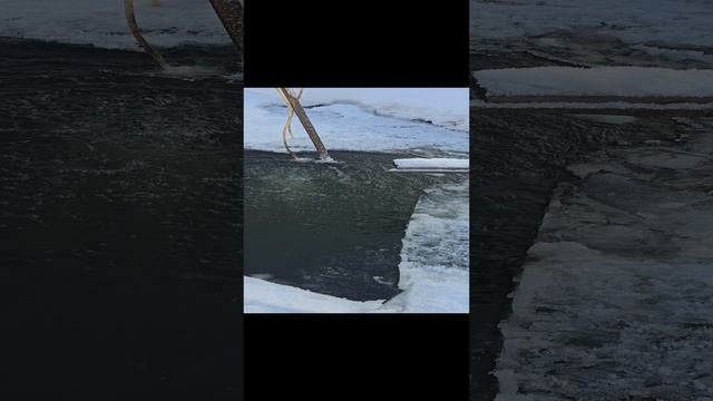 Пилим лед пилой на батарейках