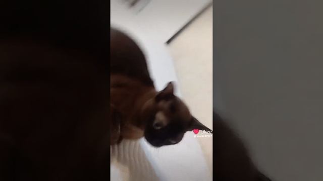 1000005807.mp4