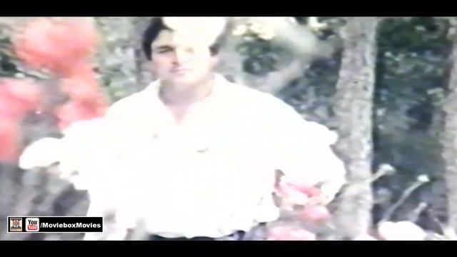 PEECHA GUDDI SE PARA HAI PATANG KA - PAKISTANI FILM CHATTAN