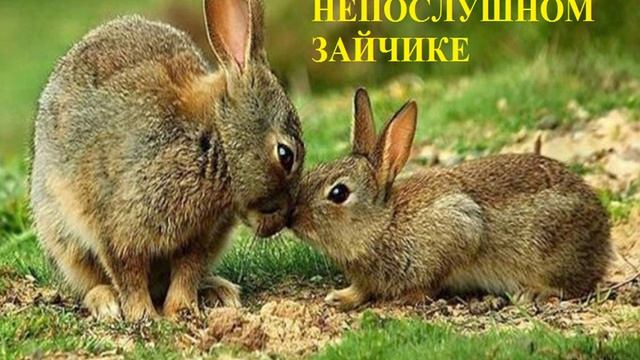 СКАЗОЧКА О НЕПОСЛУШНОМ ЗАЙЧИКЕ детское стихотворение