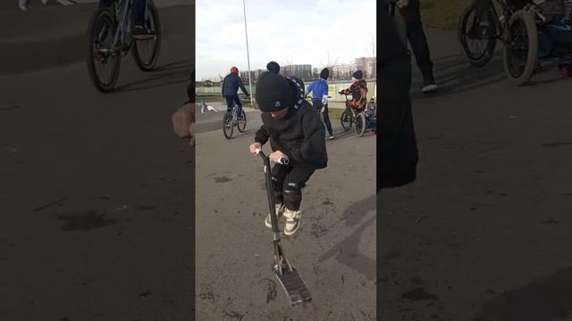 scene_output.mp4