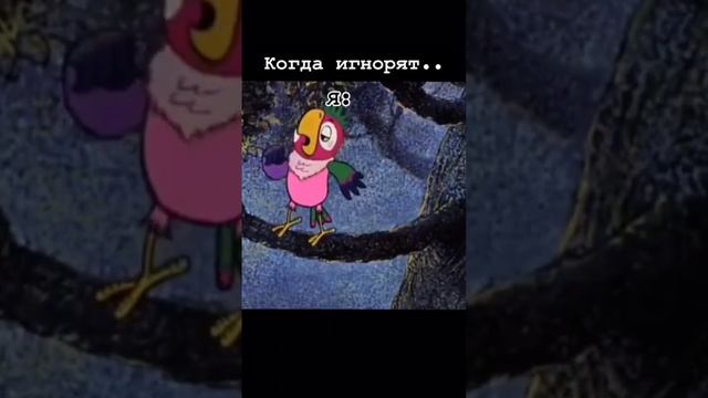 Попугай кеша. Прикол