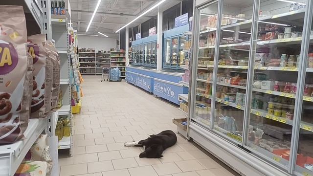 Чем я занимаюсь?