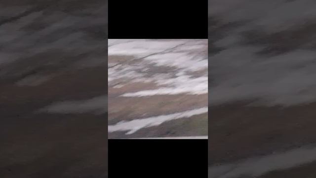 1000002577.mp4