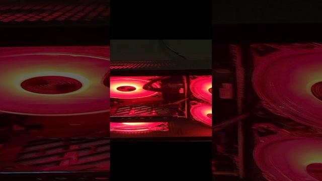Сборка Ryzen 7 7700 RTX 4070 super