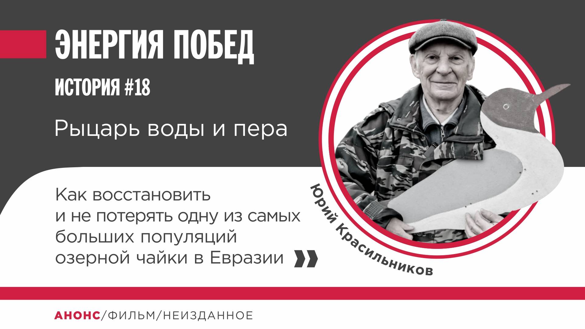 Рыцарь воды и пера