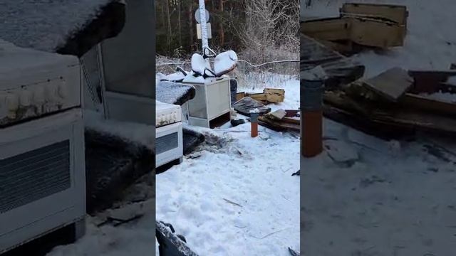 1000010184.mp4