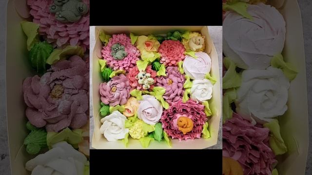 Зефир и котята