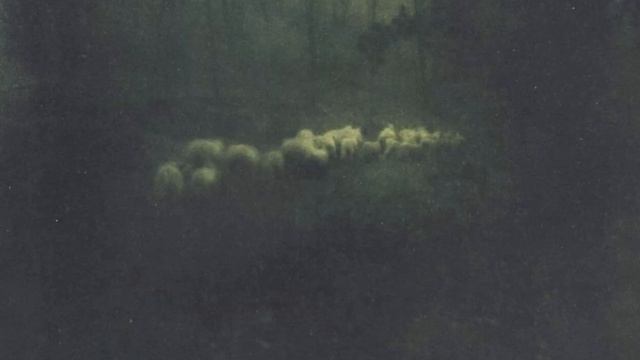 Фотография что это для вас?