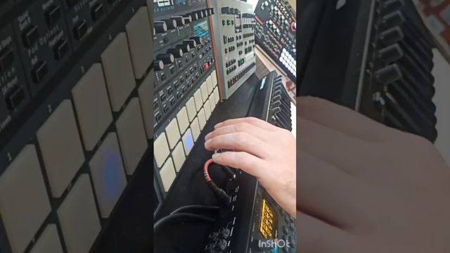 1000004721.mp4