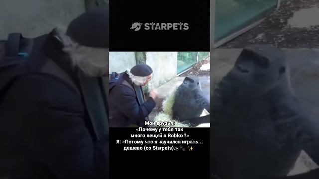 Video14