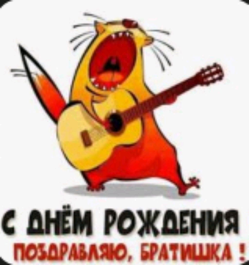 коты шарят за математику