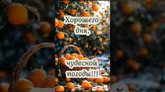 #доброе утро#зимней красоты#отличного настроения