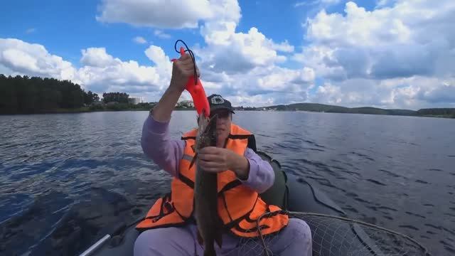 Ловля щуки на кружки.5.08.2024г.Сысертское Водохранилище.