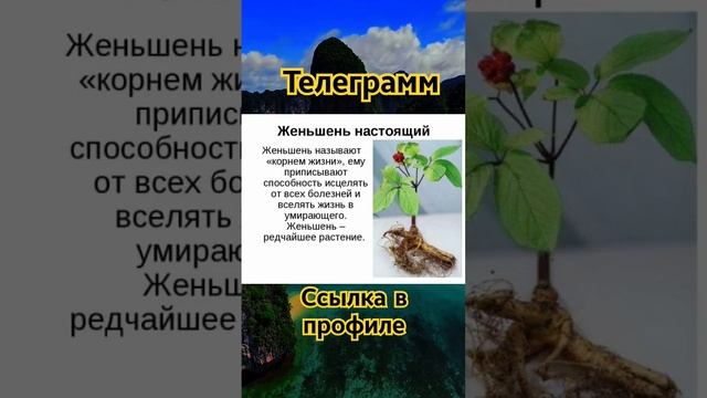 А вы знали#здоровье #правильноепитание #motivation