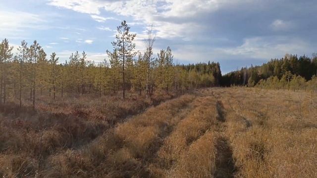 Зима приближается, успеваем пополнить железную копилку. 13.10.2024 #металлокоп #металлолом #чермет