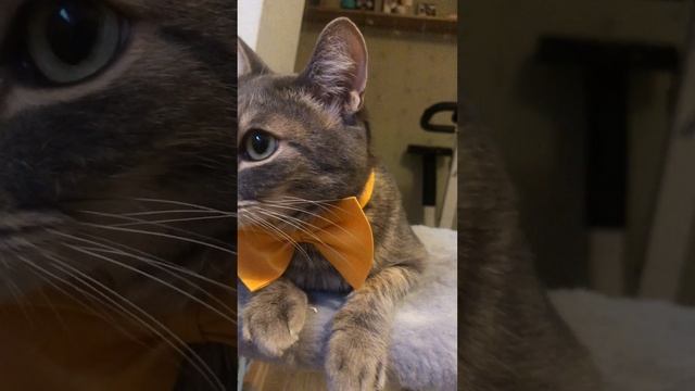 Этикет. Женская сумочка