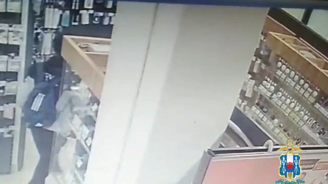 Ростовские полицейские задержали подозреваемого в пяти эпизодов краж