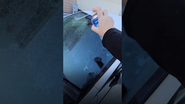 Где лучше покупать авто: на аукционе или в шоуруме?