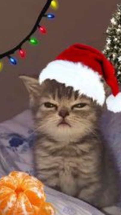 ✨валюсик🎄