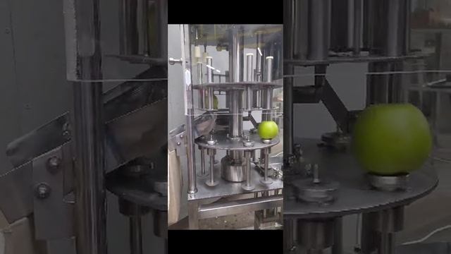 Машина удаления сердцевины из яблок ВОС 222А