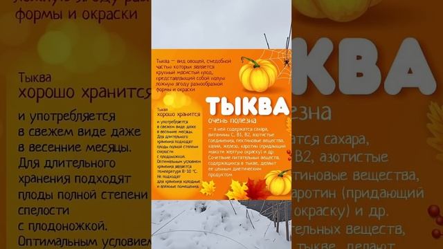 Польза тыквы#здоровье #правильноепитание #еда #жизнь