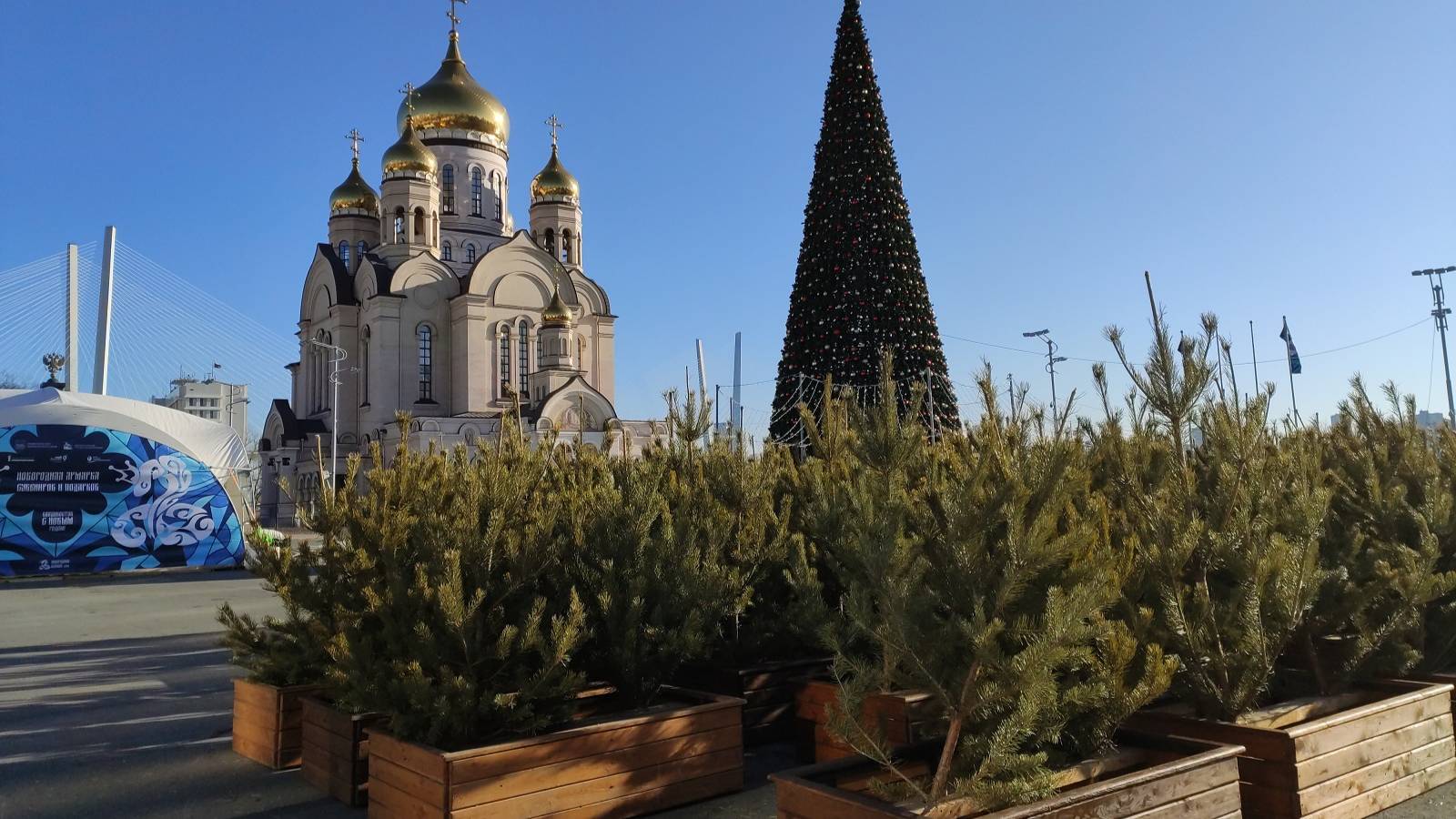 Ёлка в сквере ,  установка горки , каток , в центре. Владивосток