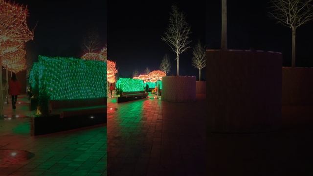 парк Галицкого новый год, лабиринт  облака
