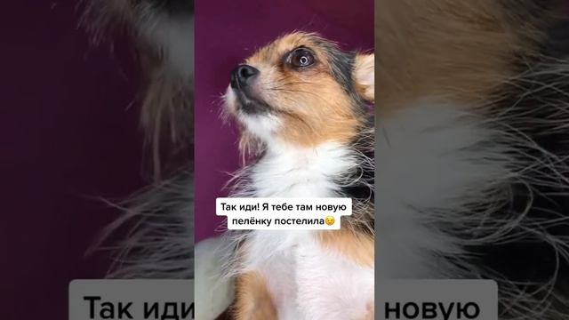 Когда придёшь? ❤️ #креветкакреветуля