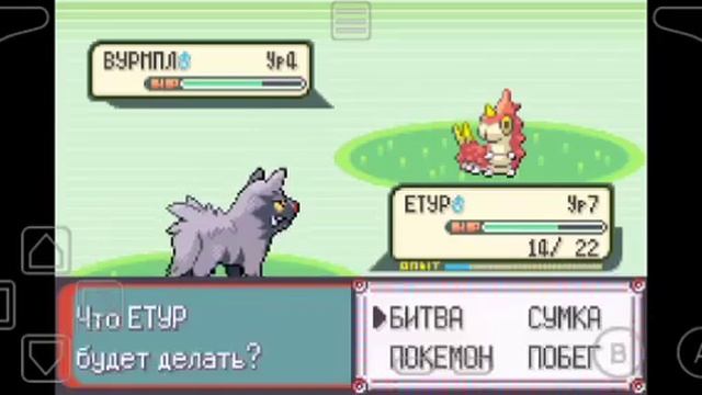 Pokemon Emerald назлок