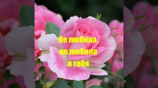 Не любила, не любила я тебя
